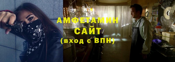 индика Бородино