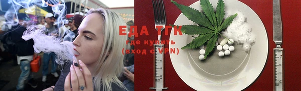индика Бородино