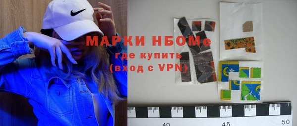 индика Бородино