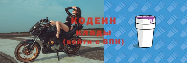 индика Бородино