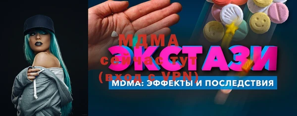 индика Бородино