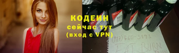 индика Бородино