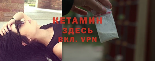 индика Бородино