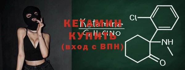 индика Бородино