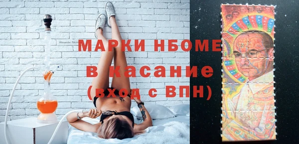 индика Бородино