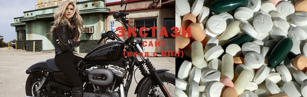 индика Бородино