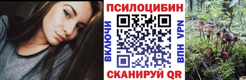 Галлюциногенные грибы MAGIC MUSHROOMS  Купить закладки  Дудинка 